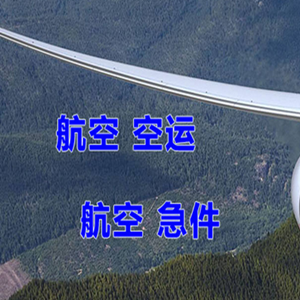 临沂启阳机场托运快递-选东方航空和上海航空