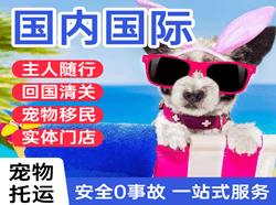 临沂启阳机场托运国际宠物托运 【国